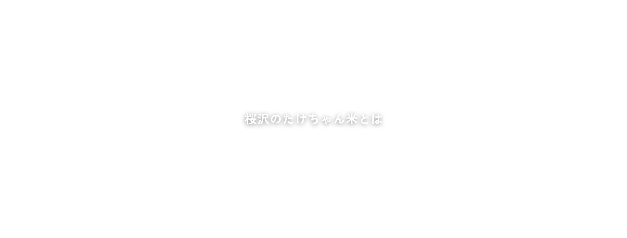 桜沢のたけちゃん米とは