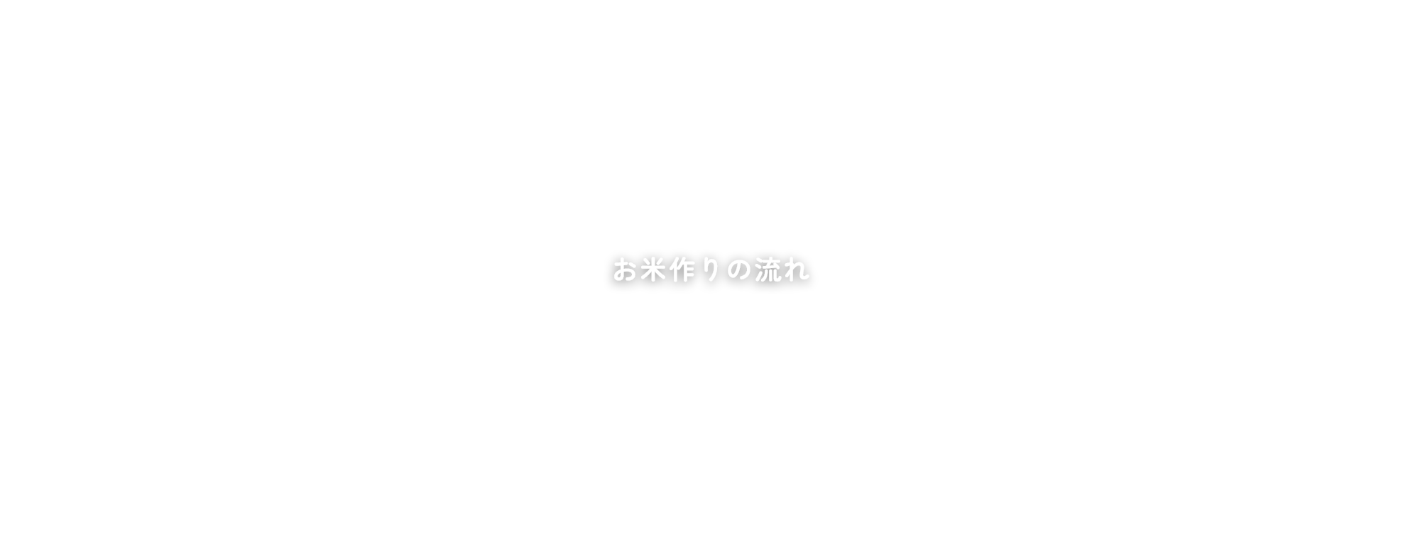 お米作りの流れ